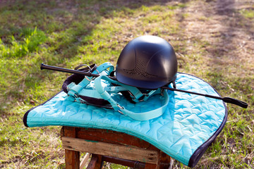 Equipment for horse riding outdoors: bridle, whip, helmet, bandages