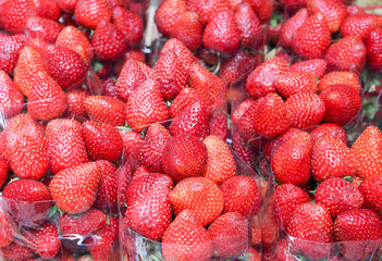 Clorful tasty fresh ripe red strawberry in clear plastic bag