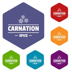 Carnation spice icons vector colorful hexahedron set collection isolated on white 