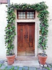Fototapeta na wymiar door, decoreted with arch of plants