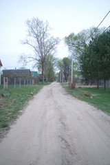 Spring country road on a beautiful day