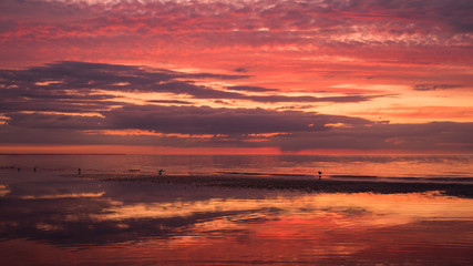 Amazing colours in the clouds over Baltic sea beach with seagulls in shallow waters awaiting the night