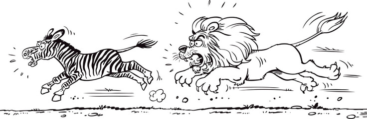 Lion hunting a zebra