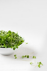 Keimsprossen Mikrogreens Brokkoli geschnitten in weißer Schale auf weißem Hintergrund im Hochformat