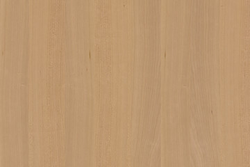 cherry tree wood wallpaper structure surface texture background surface backdrop