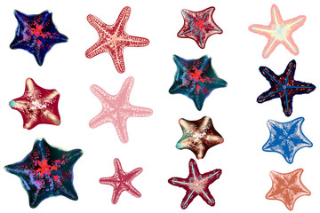 Fototapeta na wymiar Set of vector sea starfishes for design
