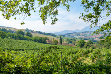 Fototapeta na wymiar nice view in Italy Marche near Camerino
