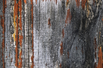 colorful grunge wood wooden wall wallpaper background backdrop surface