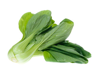 Chinese Vegetable cabbage on white background