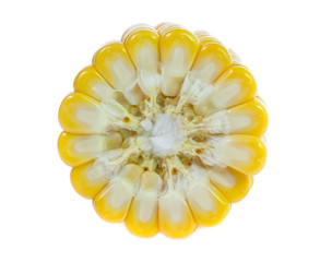 Corn on white background