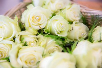 roses blanches