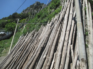 thgfcfhgyhmmgyhygyfyfv