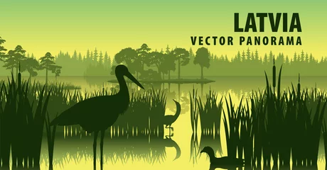 Foto op Plexiglas vector panorama of Latvia with black stork © Save Jungle