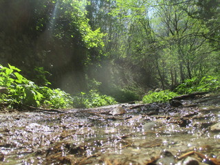 thgfcfhgyhmmgyhygyfyfv