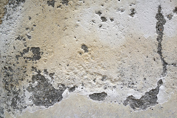 Closeup texture abstract cement old wall background.