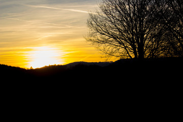 Gegenlicht in Herbst