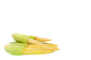 copy space baby corn isolated on white background