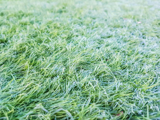 Detail of artificial grass placed on the playing field