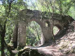 thgfcfhgyhmmgyhygyfyfv