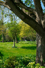 public park, arboretum Munnike Park in Zwijndrecht, The Netherlands