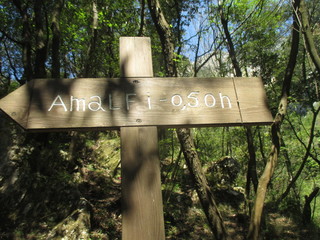 thgfcfhgyhmmgyhygyfyfv