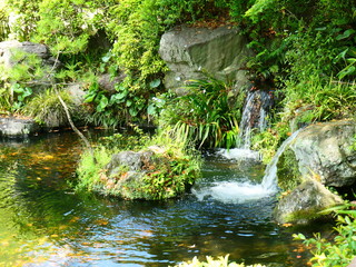 公園の小さな滝