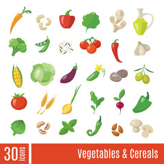 Vector vegetables and cereals infographic icons set