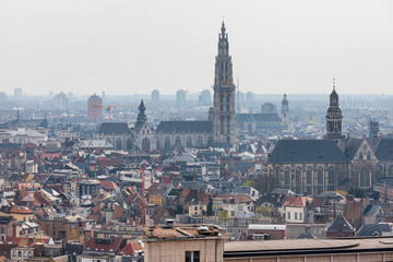 Fototapeta premium antwerpen belgium cityscape from above