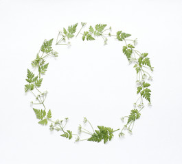 Round frame with light green young leaves on textural white paper. Spring background for design and decoration.