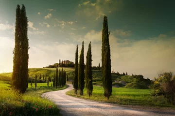 Foto auf Acrylglas Toscane Sommer Ackerland und Landstraße  toskanische Landschaft sanfte Hügel