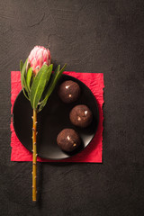Protea flower, four chocolate brownies on a black plate on red paper and a black background. top view