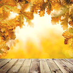 Naklejka na ściany i meble Autumn background with empty wooden board, fall yellow oak leaves and abstract bokeh light