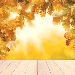 Naklejka na ściany i meble Yellow autumn background with white empty wooden table and fall oak leaves