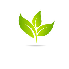 Eco icon green leaf vector illustration isolated