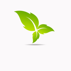 Eco icon green leaf vector illustration isolated