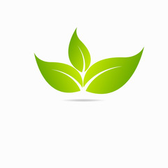 Eco icon green leaf vector illustration isolated