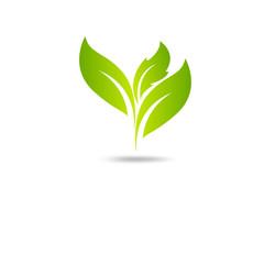 Eco icon green leaf vector illustration isolated