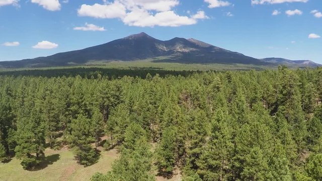 Ascending Over Coconino National Forest With Distant Humphreys Peak