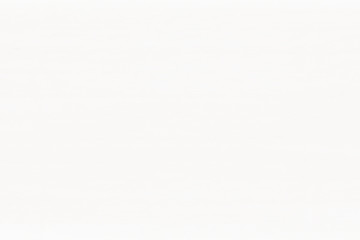 grey timber tree wooden surface wallpaper structure texture background