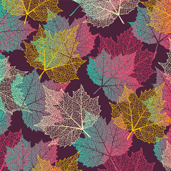 Colorful  background with maple leaves. Nature banner. Frame with plants. Template 