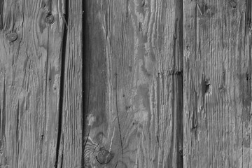 grey tree timber wood structure texture background backdrop