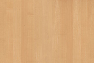 light brown tree wood wallpaper structure texture background pattern