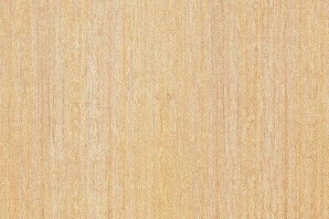 Fototapeta premium light brown tree wood wallpaper structure texture background pattern