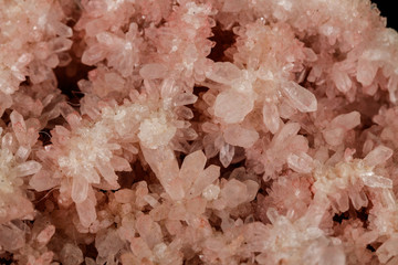 Macro stone mineral pink quartz amethyst on a black background
