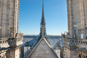 Fototapeta na wymiar Statues at roof of Notre-Dame de Paris