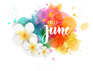 Hello June - floral summer concept background - obrazy, fototapety, plakaty