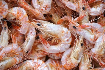 close up dry shrimp for cooking