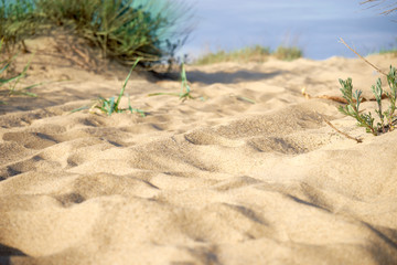 Beautiful sand background in sunny weather.