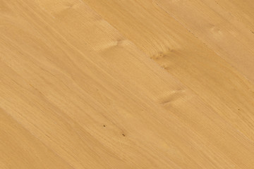 light brown tree wood wallpaper structure texture background pattern