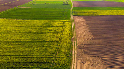 Colorful agriculture farmland at spring, aerial drone view